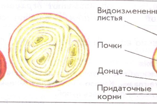 Кракен маркетплейс ассортимент