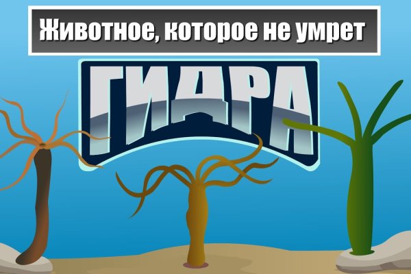 Забыл пароль от кракен